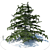 Lebanese Cedar - Cedrus Libani 3D model small image 1