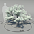 Flowering Dogwood (Cornus florida) - Elegant Blossoming Tree 3D model small image 1