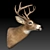 Elegant Deer Head Décor 3D model small image 1