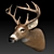 Elegant Deer Head Décor 3D model small image 2