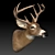 Elegant Deer Head Décor 3D model small image 3