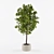 Handcrafted Potted Tree | 1100mm 3D model small image 1