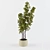 Decorative House Plant  1050mm Height 3D model small image 1