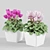 Blooming Beauty: Cyclamen Flower 3D model small image 2