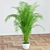 Tropical Palm Tree 1150mm: High Quality 3D Model 3D model small image 1