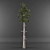 Low-Poly Conifer Collection 3D model small image 1