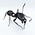 Tiny Insect 3D Model 3D model small image 1