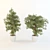 Lush Ficus Plant 3D model small image 1