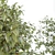 Lush Ficus Plant 3D model small image 2