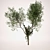 Nature's Beauty Tree_2 3D model small image 1