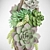 Succulent Forest Harmony 3D model small image 2