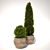 Lush Pot Plant 3D model small image 1