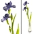 Elegant Iris Branch in Vase 3D model small image 1