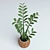 Zamioculcas Plant - Perfect for Workspace! 3D model small image 1