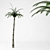 Tropical Palm Trees Bundle 3D model small image 1