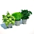 Kitchen Plants: 331K Poly, 216K Verts 3D model small image 2