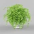 Adiantum Fragrantum: Exquisite Fern for your Home 3D model small image 1