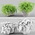 Adiantum Houseplant | Vray, Max 2011, FBX, Textures, Render 3D model small image 1