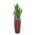 Modern Interior Sansevieria 3D model small image 1