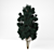 Tall Chamaecyparis Tree: 1600mm 3D model small image 1