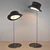 Elegant Hat Pendant Lamp 3D model small image 1