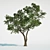 Outdoor Tree with High Trunk Texture 3D model small image 1