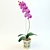 Elegant Orchid02: Beauty Blooms 3D model small image 1