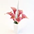 Elegant Straus Flowers 3D model small image 1