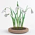 Title: Snowdrops Collection: 6 Unique Flower Types 3D model small image 1