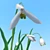 Title: Snowdrops Collection: 6 Unique Flower Types 3D model small image 3