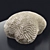 Faviidae Coral Decor 20x20x10cm 3D model small image 1
