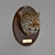 Magnificent African Leopard 3D model small image 1
