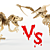  Prehistoric Puzzle: Velociraptor & Pterodactyl 3D model small image 1