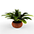 Tropical Beauty in a Pot 3D model small image 1