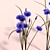 Cornflower Bouquet Set - Exquisite Outdoor Scene Decoration 3D model small image 2