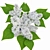 Ethereal White Lilac Bouquet 3D model small image 3