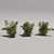 Blooming Bush Trio 3D model small image 1