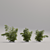 Blooming Bush Trio 3D model small image 2