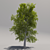 Giant Geometric Tree 3D model small image 2