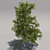 Giant Tree: Geometric Foliage 3D model small image 1