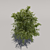 Title: Grand Geometric Foliage Tree 3D model small image 3