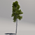 Giant Pine Tree: 3rd Edition 3D model small image 2