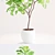 Elegant Ficus Lyrata Plant Accent 3D model small image 3