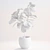 Lush Ficus Lyrata Plant 3D model small image 2