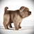 Adorable Pet Dog: 3D Max2011 3D model small image 2