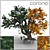 Versatile Tree 3D Model 3D model small image 1