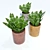 Floor Flowerpot Plant - Natural Beauty at Home 3D model small image 1