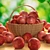 Fresh & Juicy Apples Vol. 3 3D model small image 1