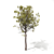 Mediterranean Pine: Young & Versatile 3D model small image 1