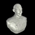 Title: Stewart Bust: Lifelike Patrick Memorabilia 3D model small image 1